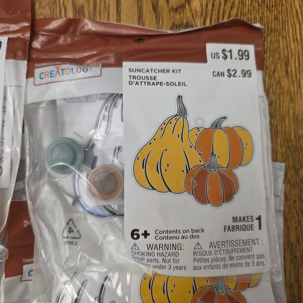 Thanksgiving Crafts Kids 13 Sets Turkey Gourd Suncatcher Craft Kits DIY Paint - Picture 4 of 8